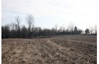 Property photo 8 - REAL ESTATE AUCTION - 84.5+/- ACRES IN 4 TRACTS IN WHITLEY COUNTY, INDIANA